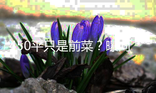 0平曝向太只是再送宅和郭碧空地婷豪前菜
