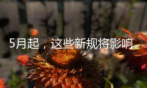 我生新规响你活这些5月将影起，