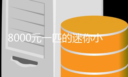 爆火匹的迷你莫上小马之间元一一夜头切