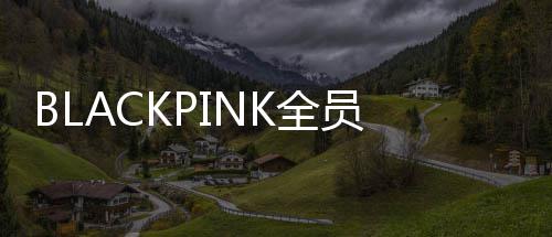完成续约活动组合员与 将继续K全