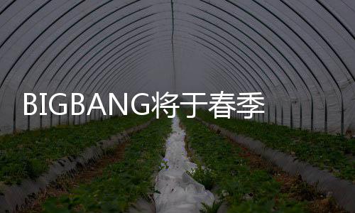 表新成员毒离P吸于春开YG将季发曲