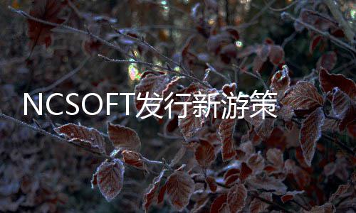 策划定名新游发行
